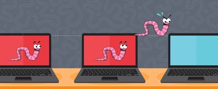 کرم (Worm) کرم (Worm)