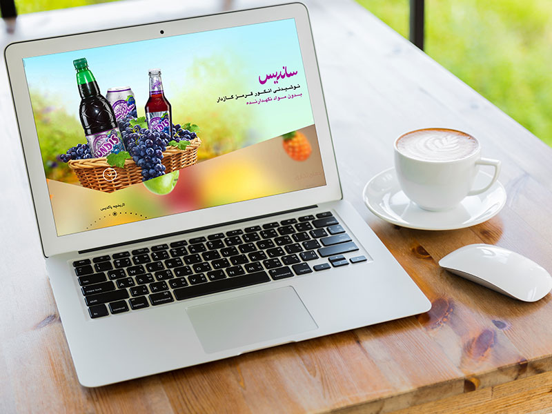 شرکت پاکدیس (سهامی عام)