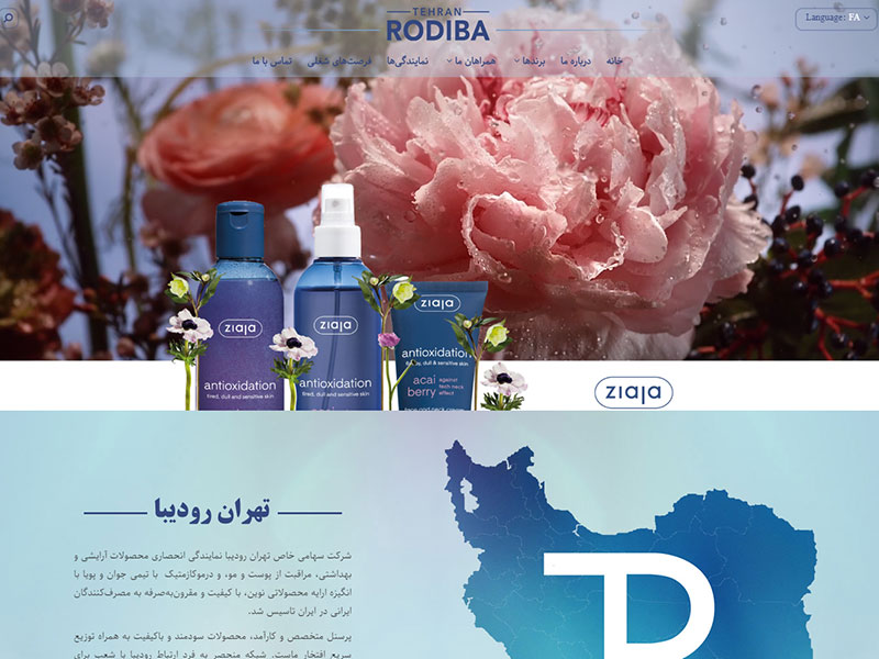 طراحی وب سایت شرکت رودیبا 1