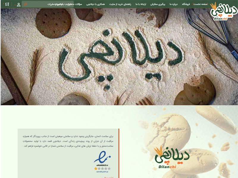 پیاده سازی سایت شرکتی دیلانچی 1
