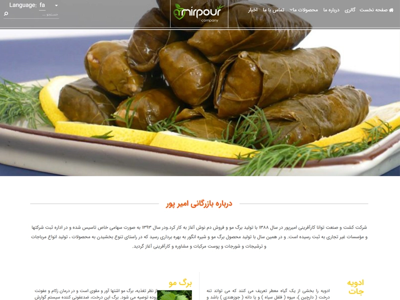 پیاده سازی سایت شرکت کشت و صنعت توانا کارآفرینی امیرپور 1