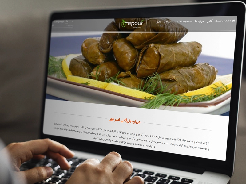 پیاده سازی سایت شرکت کشت و صنعت توانا کارآفرینی امیرپور 2