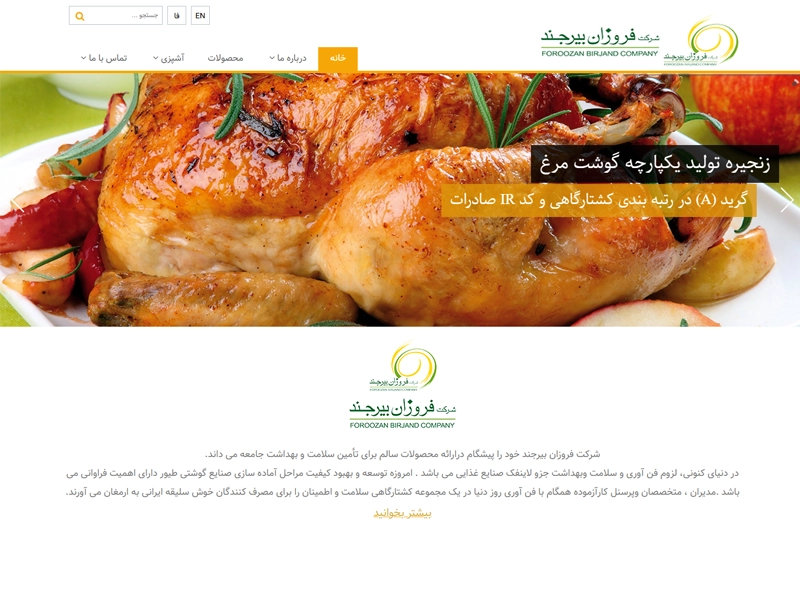 طراحی سایت شرکتی فروزان بیرجند 1