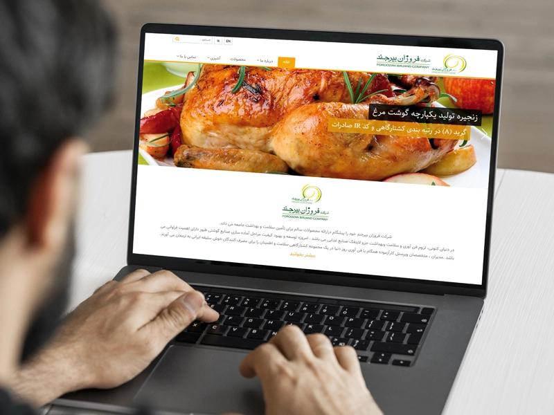 طراحی سایت شرکتی فروزان بیرجند 2