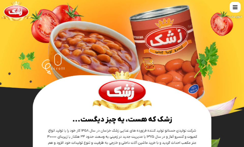 طراحی وب سایت محصولات غذایی زشک