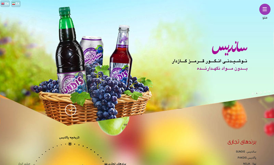 طراحی و پیاده سازی سایت پاکدیس