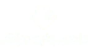 طراحی سایت مشهد در داده پردازی فراتک