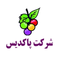 لوگوی شرکت پاکدیس